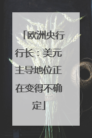 欧洲央行行长：美元主导地位正在变得不确定
