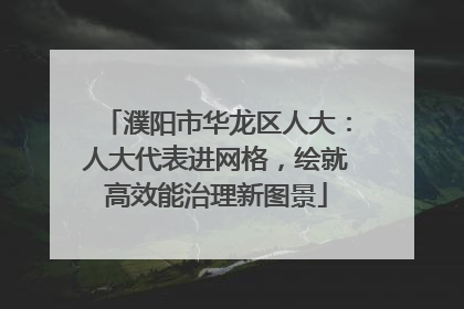 濮阳市华龙区人大：人大代表进网格，绘就高效能治理新图景