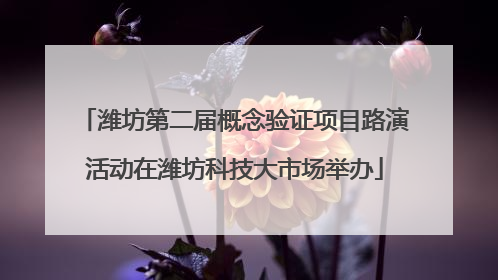 潍坊第二届概念验证项目路演活动在潍坊科技大市场举办