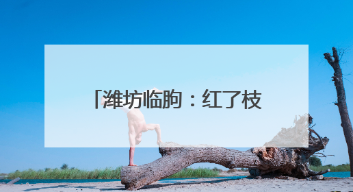潍坊临朐：红了枝头 甜了心头 油桃丰收季果农笑开颜