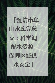 潍坊市牟山水库党总支：科学调配水资源 保障区域供水安全