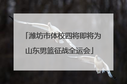 潍坊市体校四将即将为山东男篮征战全运会