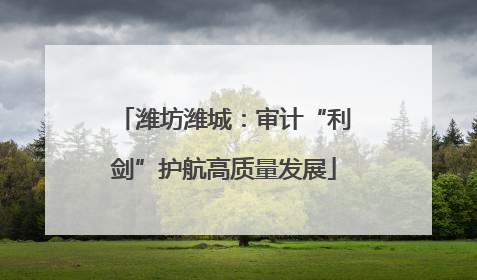 潍坊潍城：审计“利剑”护航高质量发展