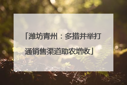 潍坊青州：多措并举打通销售渠道助农增收