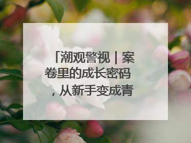 潮观警视｜案卷里的成长密码，从新手变成青年办案探长