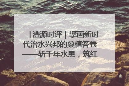 澧源时评｜擘画新时代治水兴邦的桑植答卷——斩千年水患，筑红色热土安澜基业