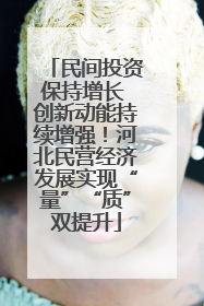 民间投资保持增长 创新动能持续增强！河北民营经济发展实现“量”“质”双提升