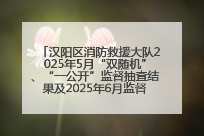 汉阳区消防救援大队2025年5月“双随机”、“一公开”监督抽查结果及2025年6月监督抽查任务公示