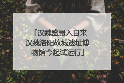 汉魏盛景入目来 汉魏洛阳故城遗址博物馆今起试运行
