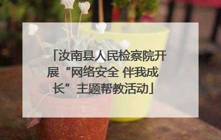 汝南县人民检察院开展“网络安全 伴我成长”主题帮教活动