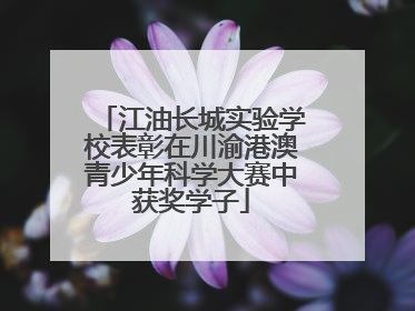 江油长城实验学校表彰在川渝港澳青少年科学大赛中获奖学子