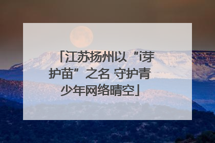 江苏扬州以“i芽护苗”之名 守护青少年网络晴空