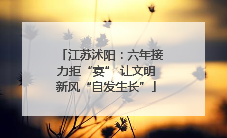 江苏沭阳：六年接力拒“宴” 让文明新风“自发生长”