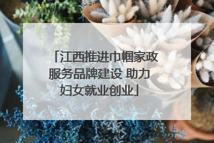 江西推进巾帼家政服务品牌建设 助力妇女就业创业