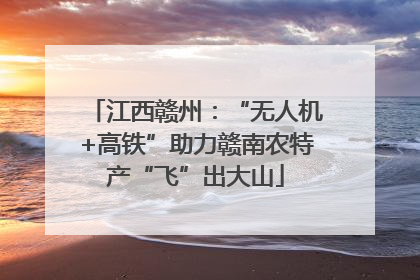 江西赣州：“无人机+高铁”助力赣南农特产“飞”出大山