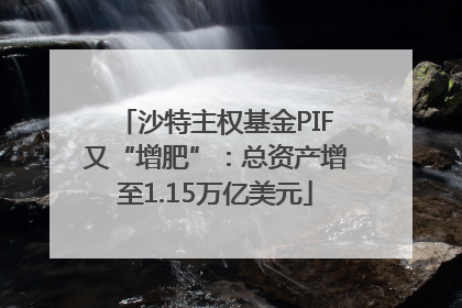 沙特主权基金PIF又“增肥”：总资产增至1.15万亿美元