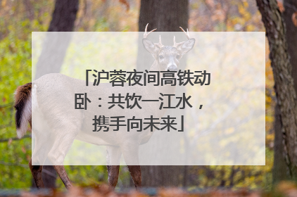 沪蓉夜间高铁动卧：共饮一江水，携手向未来