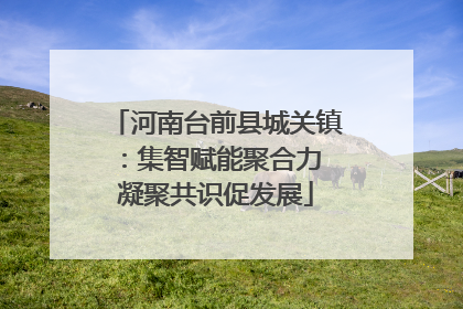 河南台前县城关镇：集智赋能聚合力 凝聚共识促发展