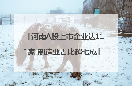 河南A股上市企业达111家 制造业占比超七成