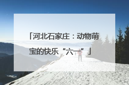 河北石家庄：动物萌宝的快乐“六一”