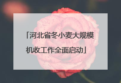 河北省冬小麦大规模机收工作全面启动