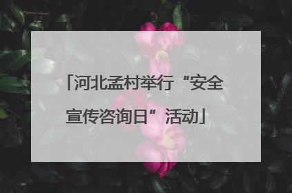 河北孟村举行“安全宣传咨询日”活动