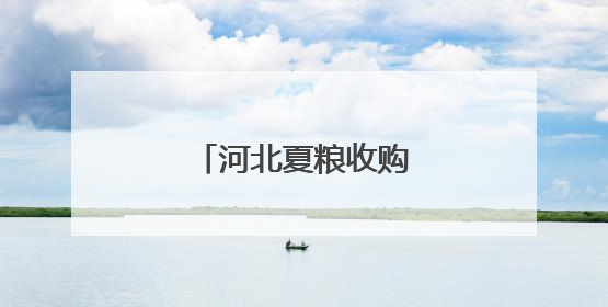河北夏粮收购工作高效推进