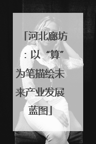 河北廊坊：以“算”为笔描绘未来产业发展蓝图