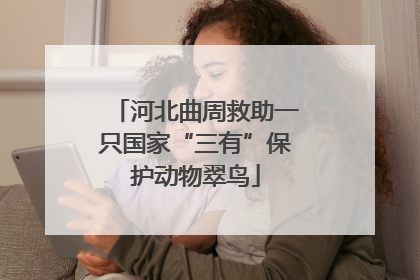 河北曲周救助一只国家“三有”保护动物翠鸟