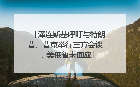 泽连斯基呼吁与特朗普、普京举行三方会谈，美俄暂未回应