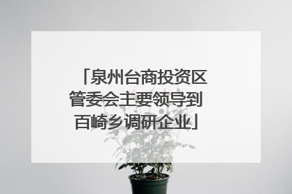 泉州台商投资区管委会主要领导到百崎乡调研企业