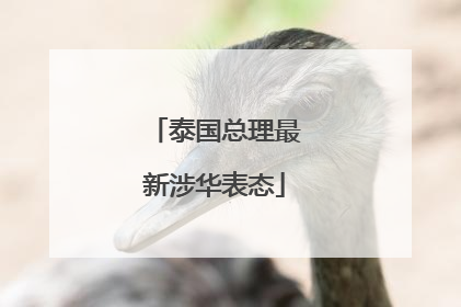 泰国总理最新涉华表态