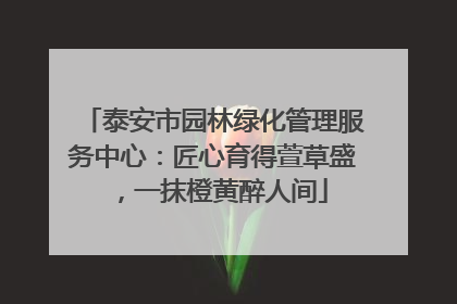 泰安市园林绿化管理服务中心：匠心育得萱草盛，一抹橙黄醉人间