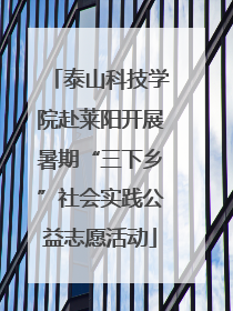 泰山科技学院赴莱阳开展暑期“三下乡”社会实践公益志愿活动