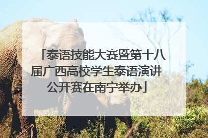 泰语技能大赛暨第十八届广西高校学生泰语演讲公开赛在南宁举办