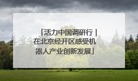 活力中国调研行｜在北京经开区感受机器人产业创新发展