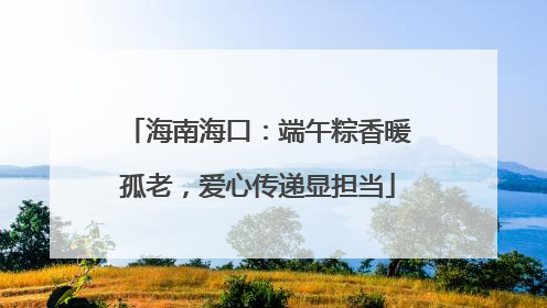海南海口：端午粽香暖孤老，爱心传递显担当