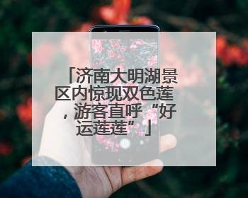 济南大明湖景区内惊现双色莲，游客直呼“好运莲莲”