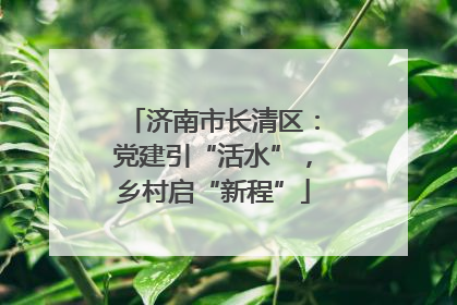 济南市长清区：党建引“活水”，乡村启“新程”