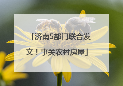 济南5部门联合发文！事关农村房屋