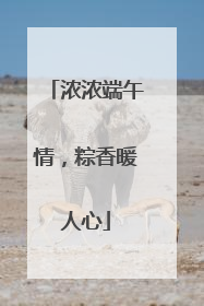 浓浓端午情，粽香暖人心