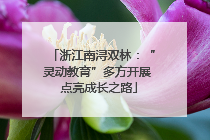 浙江南浔双林：“灵动教育”多方开展 点亮成长之路