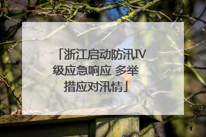 浙江启动防汛Ⅳ级应急响应 多举措应对汛情