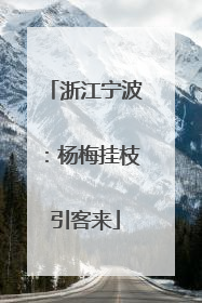 浙江宁波：杨梅挂枝引客来