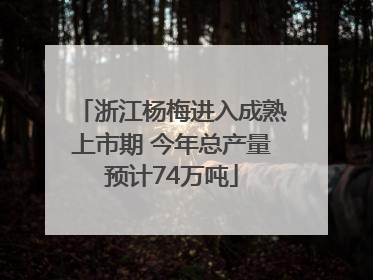 浙江杨梅进入成熟上市期 今年总产量预计74万吨