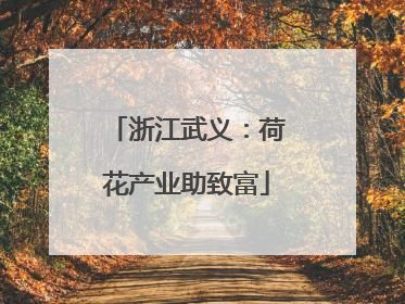 浙江武义：荷花产业助致富