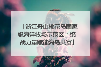 浙江舟山桃花岛国家级海洋牧场示范区：统战力量赋能海岛共富