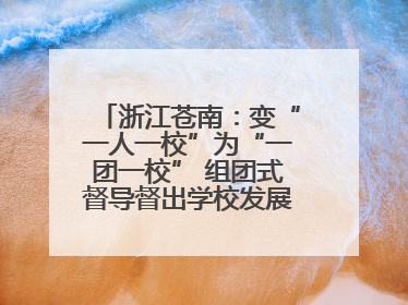 浙江苍南：变“一人一校”为“一团一校” 组团式督导督出学校发展加速度