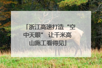 浙江高速打造“空中天眼” 让千米高山施工看得见