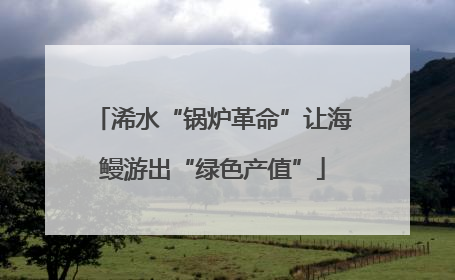 浠水“锅炉革命”让海鳗游出“绿色产值”